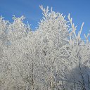 ���� �������, ����, 52 ���� - ��������� 6 �������� 2013 � ������ ���� ����������