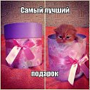 ���� �������, ����� - ��������� 22 ������� 2013 � ������ ���� ����������