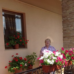 ���� �����, ����, 85 ��� - ��������� 19 ������ 2013