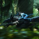 ���� Volf, ������, 42 ���� - ��������� 13 ������ 2014 � ������ ���� ����������