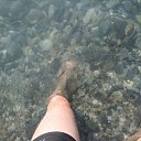 ���� �����, ���������� �����, 47 ��� - ��������� 15 ������� 2013 � ������ ���� ����������