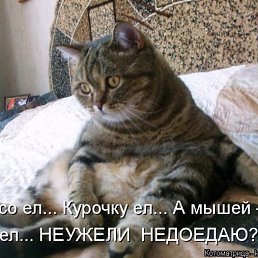 ���� ������, ���, 56 ��� - ��������� 24 ������� 2013