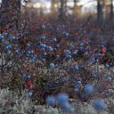 ���� ������ 72, ������������, 53 ���� - ��������� 30 ������� 2013 � ������ ������� �������