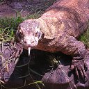 ���� N N N, ������ - ��������� 6 ������� 2013 � ������ ���� ����������