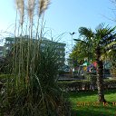 ��� ����������. �� ������� ��������˻