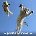 ���� �, �������, 42 ���� - ��������� 15 ������ 2014 � ������ ���� ����������