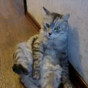 ���� ������, ������, 55 ��� - ��������� 12 �������� 2013 � ������ �������