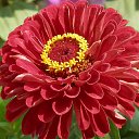 ���� �������� ��������, �����-��������, 51 ��� - ��������� 20 �������� 2013 � ������ ������...�