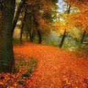 ���� ���������, ������ - ��������� 12 ������� 2013 � ������ ��������