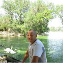  ,  , 61  -  24  2014