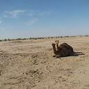 ���� �����, �������, 68 ��� - ��������� 29 ������ 2013 � ������ ����� ��������