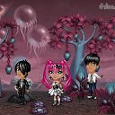 � �� ������� �Tropikania�
