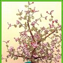 ���� ����, ����-�����������, 41 ��� - ��������� 3 ������� 2014 � ������ ������� ������ � �������� ��������