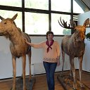 ���� �������, �������� - ��������� 22 �������� 2013 � ������ ���� ����������