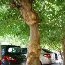 ���� Marina, ������-���, 60 ��� - ��������� 20 ������ 2014 � ������ ��������.. )�