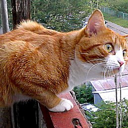 ������ � ���!