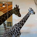  , -, 40  -  3  2014    2013