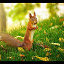 � ������ �������� ���: http://qpecc.gallery.ru/watch?ph=G87-e1ctv �� ������� �Zoo�
