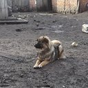 ���� Sveta, �����, 53 ���� - ��������� 19 ������ 2014 � ������ ���� ������� �����