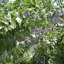  , , 47  -  11  2014   ,...