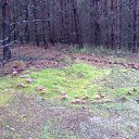 ���� �������, ������, 61 ��� - ��������� 24 �������� 2013 � ������ ���� ����������