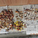 ���������� ��������. �� ������� ���� ����������