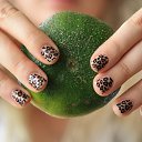 ���� ����, �����-��������� - ��������� 2 ������� 2013 � ������ ���� ����������