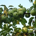 ��������� �� ������� ���� ����.�