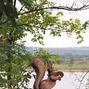 ���� ������. �� ������� ���� ����������