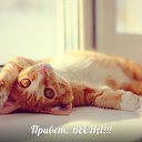 ���� ����-i, ������������ - ��������� 27 ������� 2014 � ������ ���� ����������