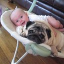 ���� Imp, ������� - ��������� 23 ������� 2013 � ������ �mops�