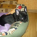 ����� ��������, ������ ����� � ���������. �� ������� ���� ����������