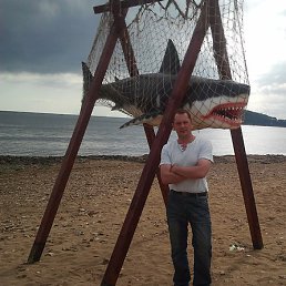 �����, �����-���������, 48 ���