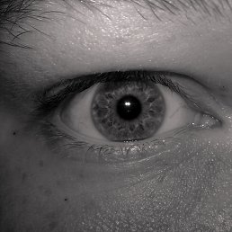 ���� ����������, ����, 32 ���� - ��������� 13 ������� 2014