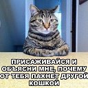 ���� *E*l*e*n*@*, ������� - ��������� 12 ������� 2014 � ������ ������ ��������