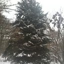 ���� �������, �������, 43 ���� - ��������� 16 ������� 2013 � ������ ���� ����� ���λ
