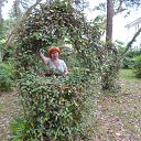 ���� �������, ������ �������� - ��������� 18 ������� 2013 � ������ �������