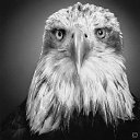 ���� �������, �������� - ��������� 10 ������� 2014 � ������ ���� ����������