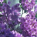 ���� ����, �����-��������� - ��������� 7 �������� 2013 � ������ ���� ����������