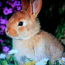 ����.������-������� 2013�. �� ������� ���������