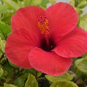 ������ �� ������� ��������