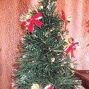 ���� �������, ���������� - ��������� 2 ������ 2014 � ������ �����