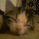 ���� ��������, �����, 39 ��� - ��������� 25 ������ 2014