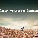 ���� �������, ���������, 48 ��� - ��������� 23 ������� 2014 � ������ ���� ����������