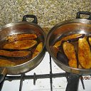 ���� ������, ����� - ��������� 25 ������� 2014 � ������ ���� ����������