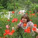 ���� ������, ���������, 59 ��� - ��������� 31 ������� 2013 � ������ ���� ����������