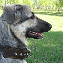 ���� ������, ������, 50 ��� - ��������� 7 ������� 2013 � ������ ������ � ��