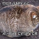 ���� ����������, �����-��������� - ��������� 17 ������ 2014