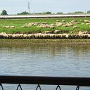 ���� ������, �������, 68 ��� - ��������� 5 ������� 2013 � ������ ��������� � ���� ����� �� ������� ����������.�