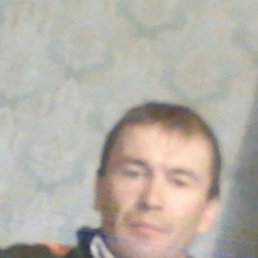 ���������, �����, 52 ����